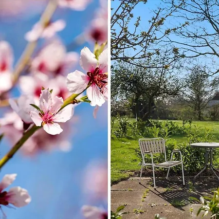 דירה Ae210-marstal-bralandsvej-1-1-sal Marstal